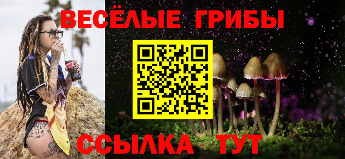 Псилоцибиновые грибы GOLDEN TEACHER  Вход с VPN  Новоалтайск 